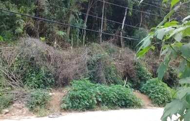 Imagem 3: Terreno para Venda em Embu-Guaçu, Congonhal