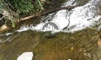 Imagem 4: Chácara PRODUTIVA Zona Rural, Hidrolândia, GO