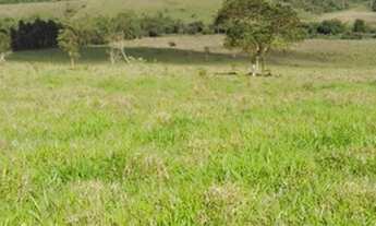 Imagem 7: Terreno 10 Hectares em Passa Tempo Fartura de Agua
