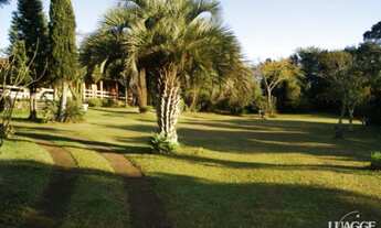 Imagem 6: Porto Alegre - Sítio - Vila Nova