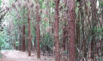 Imagem 5: Mafra - AREA - Rio Preto do Sul