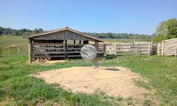 Imagem 2: Ariquemes - Sítio - 10 alqueires