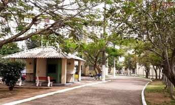 Imagem: Canoas - Padrão - Mato Grande