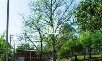 Imagem 6: Chácara em Araçoiaba da Serra bairro Bosque dos Eucaliptos
