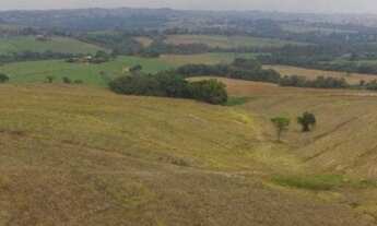 Imagem 2: Porto Feliz - Terrenos de 8.000 m2