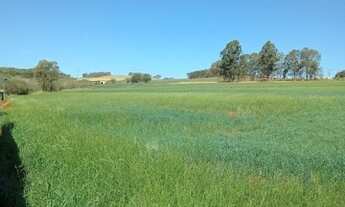 Imagem 1: 6 alq. na região sul de Cascavel