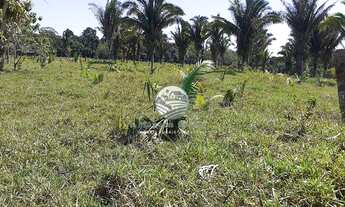 Imagem 6: Vale do Paraíso - Sítio - 25 alqueires proximo da cidade