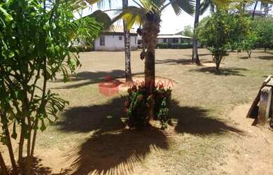 Imagem 6: Lauro de Freitas - Terreno Padrão - Pitangueiras