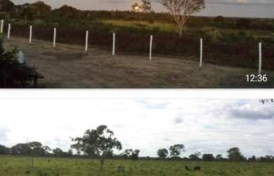 Imagem 6: Oportunidade! Vende-se uma excelente fazenda de 430 Hectares