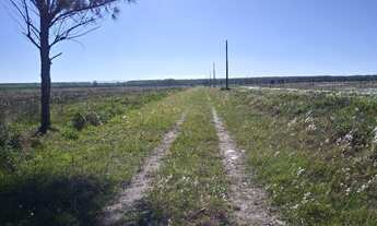 Imagem 3: Lote na Village Dunas 2