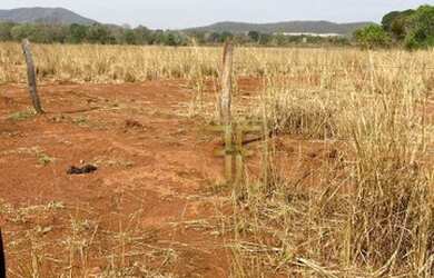 Imagem 2: Fazenda 228 Alqueires, Figueirópolis, TO
