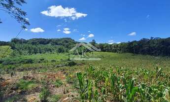Imagem: Área de terras magnífica em Nova Petrópolis
