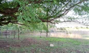 Imagem 5: Fazenda próximo à Santa Rita do tocantins