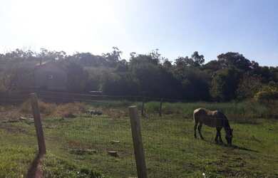 Imagem 2: CACHOEIRINHA - Terreno Padrão - DISTRITO INDUSTRIAL