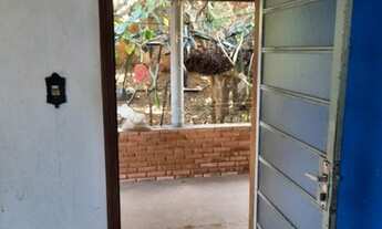 Imagem 5: Sao Carlos - Casa Padrão - Jardim Bandeirantes