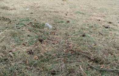 Imagem 7: Terreno à venda, 748 m² por R$ 390.200,00 - Jardim Bandeirantes - Sorocaba/SP