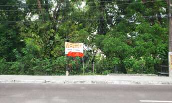 Imagem 5: Terreno - 3.133 m² - Constantino Nery - TRV92