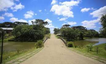 Imagem 6: CAXIAS DO SUL - Terreno Padrão - São Ciro