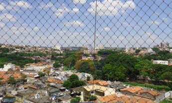 Imagem 3: Apartamento residencial à venda, Jardim Flamboyant, Campinas - AP0260