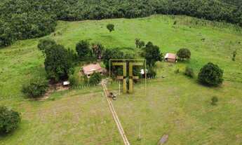 Imagem 3: Fazenda 254 Alqueires, Miranorte, TO