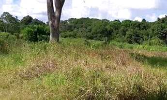 Imagem 2: Chácara à venda com 8 hectares em Aldeia