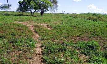 Imagem 6: FAZENDA À VENDA EM CONCEIÇÃO DO PARÁ - PA - 4.855 HECTARES (DUPLA APTIDÃO