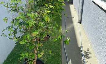 Imagem 6: Casa nova 604 norte