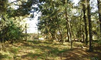 Imagem 2: Porto Alegre - Terreno Padrão - Vila Nova