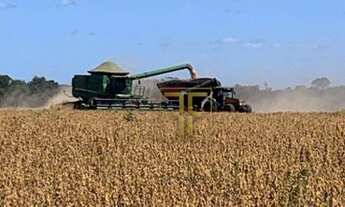 Imagem 7: Fazenda 5.570 Hectares, Balsas, MA