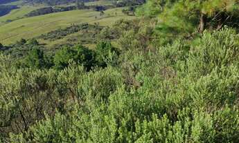 Imagem 4: Excelente área para investimento turístico