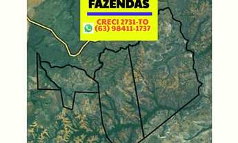 Imagem 3: Fazenda 2.899,16 hectares em Novo Acordo