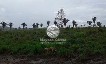 Imagem 3: Alto Paraíso - Fazenda - 65 Alqueires