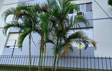 Imagem 3: Apartamento para venda 02 dormitórios bairro JD Botânico - Porto Alegre - RS