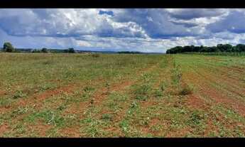 Imagem 5: Oportunidade! Vende-se uma excelente fazenda de 8 Alqueires