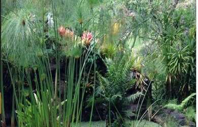 Imagem 2: Valença - Sítio - 10 Ha