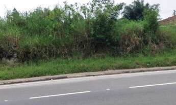 Imagem 6: Área Plana para Galpões ou Posto de Gasolina- 3.461M²