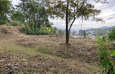 Imagem 4: TERRENO no GLÓRIA com 0 quartos para VENDA, 7669 m²