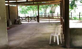 Imagem 4: Sítio em Antônio Dias. Cód. S004. Ótima topografia e várias nascentes. Valor 1.700.000 mil