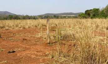 Imagem 3: Fazenda 228 Alqueires, Figueirópolis, TO
