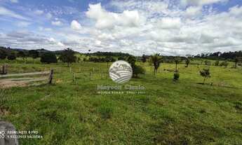 Imagem 5: Ariquemes - Sítio - 10 Alqueires