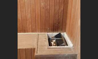 Imagem 4: LINDO APARTAMENTO 2 DORMS CANTO DO FORTE