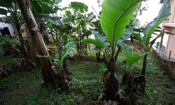 Imagem 2: FLORIANóPOLIS - Terreno Padrão - Saco Grande