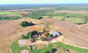 Imagem 5: Fazenda 231 Alqueires, Dois Irmãos do Tocantins, TO