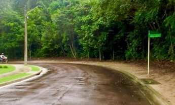 Imagem 7: Ótimas opções no Alphaville 3 de esquina e ou desmatados registrados!