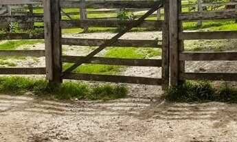 Imagem 6: Fazenda 238 alqueires Municio de Itapuranga GO