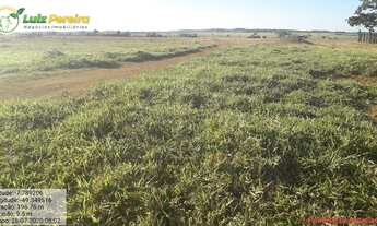 Imagem 3: FAZENDA À VENDA EM CONCEIÇÃO DO PARÁ - PA - 4.855 HECTARES (DUPLA APTIDÃO