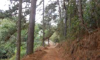 Imagem 7: PETRóPOLIS - Terreno Padrão - Araras