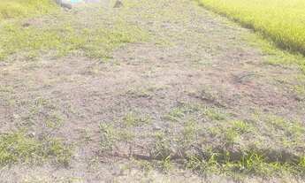 Imagem 2: Vendo terreno no portal dos eucaliptos pinda