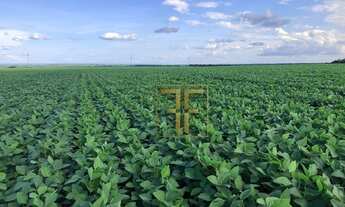 Imagem: Fazenda 324 Alqueires, Pedro Afonso, TO