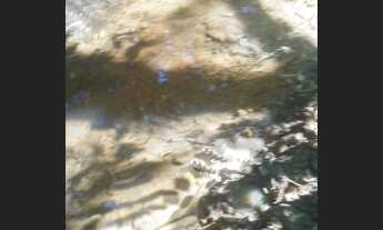 Imagem 3: Fazenda/Sítio/Chácara para venda possui 5000 metros quadrados com 1 quarto